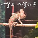 부천자연생태박물관 이미지