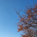 가곡체육공원 이미지