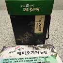 믿음농장 | 💚 부모님 건강을 위해 선택한 배미오가피농장 가시오가피즙 솔직 후기