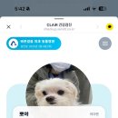 바른걸음 외과 동물병원 이미지