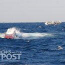 주영호 카카오 검색결과