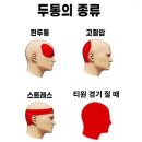 게임하고 책 읽고 게임하는 그런 일상