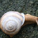 화개우체국 이미지