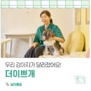더 이쁘개 이미지