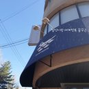 짐더독 이미지