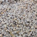 설 청국장 이미지