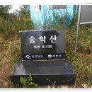 송학주유소 이미지
