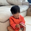 두두보보
