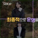 여우바라기 이미지