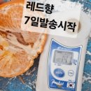 하윤이네 이미지