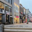 제주칠성로상점가(칠성로상점가) 이미지