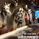 아프리카 | 제주 색다른 실내 이색 체험 아프리카박물관 관람 후기