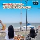 웅장상회 Daum카페