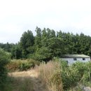 상효동-6 이미지