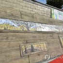 한반도면-5 이미지