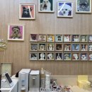 애견스케치 이미지