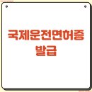 대목2천 | 국제운전면허증 발급 방법 온라인 신청 준비물 후기