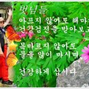 필유인 이미지