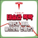 (주)비엔에스오토테크 | 테슬라 주가 폭락 원인과 시세, 앞으로의 전망은