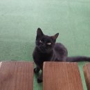 호스텔코리아 이미지