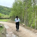 댕댕트레킹 2025 후기 준비물 7km 6km 비교 추천 코스