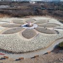 빛(꽃)의정원 이미지