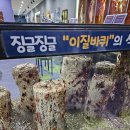 창녕동애등에 네이버블로그