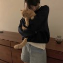 어포인트노운 | [소비 일기 & Wish List ; 마그넷, 혜미마켓, 스키니피그, 스토어팜]