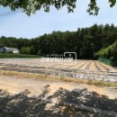 경포대공인중개사사무소 이미지