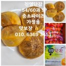 진영단감 45과. L싸이즈 이미지