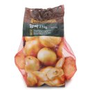 양파패션