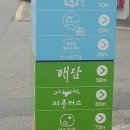 황금길 9-4 이미지