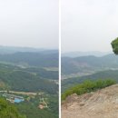 공주생명과학고 제2농장 티스토리