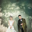 스튜디오P