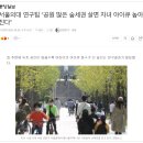 북면중앙어린이집 네이버블로그