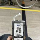 뽀바조 이미지