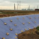 그늘막126 이미지