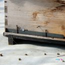 해늘농장 이미지