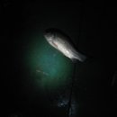 덕성낚시터 이미지