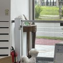 사개절 펫살롱 이미지