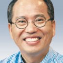 로뎀나무 이미지