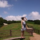 메밀목장 이미지