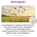 튼튼중앙약국