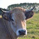 충북동물병원 이미지