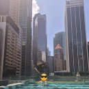 가든 오브 클라우드 이미지