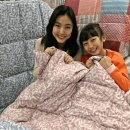 사계절할인마트 이미지