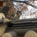 사랑채헤어샵 | 몇 겹의 찰나