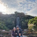 (주)제주드림여행사 | 제주택시투어 후기 최고 또 최고!