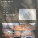 임천초등학교 앞 | 나온 사랑나무를 보려면? 부여 성흥산성(가림성) 방문기 및 주차팁 / 장원막국수 후기 및 웨이팅 팁
