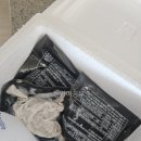 돼지국밥 | 대한민국농수산 돼지국밥 후기